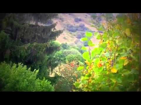 Cazare Bucuresti Ieftin - Cazat.ro