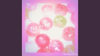 Download lagu No Why 爱 (Ver.2) mp3