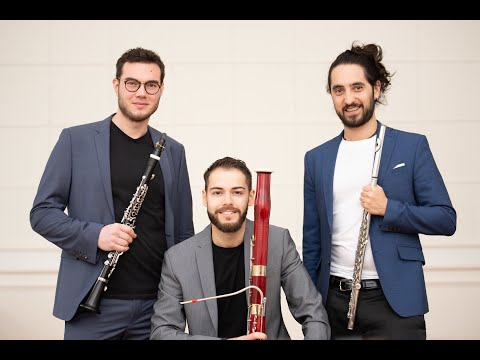 Trio Alius - Promo Video