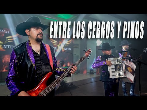 ENTRE LOS CERROS Y PINOS - LOS NUEVOS ASPIRANTES - EN VIVO