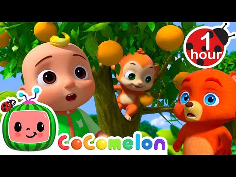 Grow Grow Grow Your Oranges | 1 hour CoComelon Animal Time - Learning with Animals | Nursery Rhymes