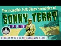 The Incredible Folk Blues Harmonica of Sonny terry "Old Jabo" Lesson (Country Blues/Piedmont Blues)
