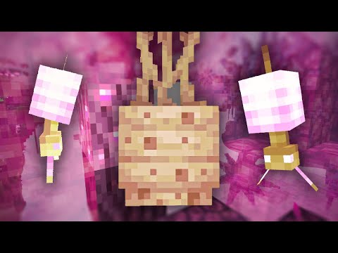 Better Minecraft EP11 The End Is ALIVE