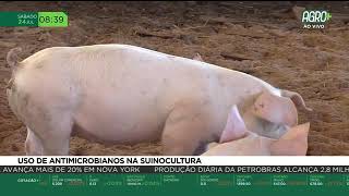 Miniatura do vídeo