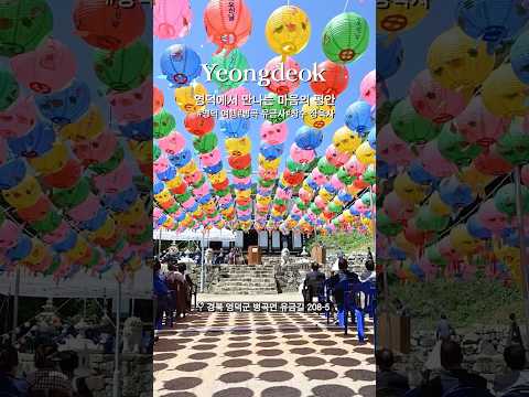 이번 연휴, &#39;이것&#39; 보러 영덕 갑니다