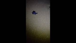 Life Experience 02042017