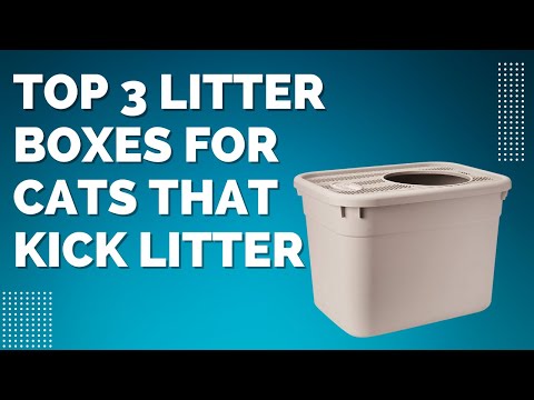 Top 3 Best litter boxes for cats that kick litter