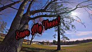 Save My Trees! / FPV Freestyle