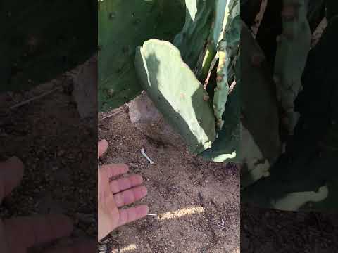 7 de dezembro de 2025