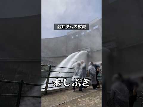 カラカオレン II ダム - 定義