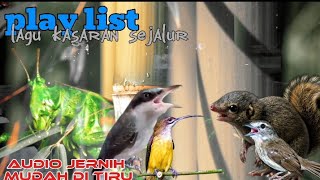 Download lagu MASTERAN KASARAN | viral 2025 NILAI TINGGI mp3 Download lagu MASTERAN KASARAN | viral 2025 NILAI TINGGI mp3