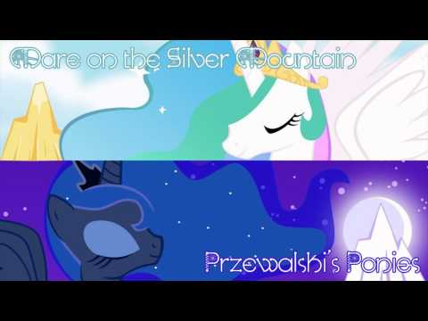 Przewalski's Ponies - Mare on the Silver Mountain