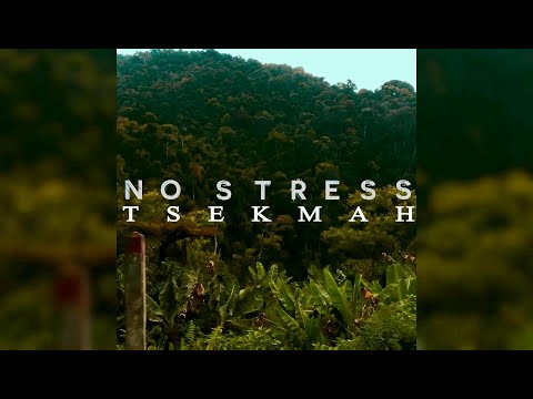 TSEKMAH - No Stress (Street Vidéo)