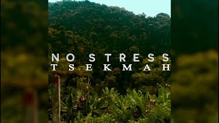 Download lagu TSEKMAH - No Stress (Street Vidéo) mp3 Download lagu TSEKMAH - No Stress (Street Vidéo) mp3