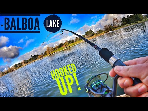 バルボア湖での 2 日間の釣り