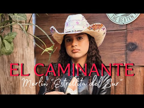 The Wanderer | Merlin Little Star of the South