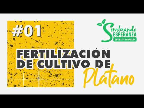, title : 'Sembrando Esperanza | Fertilización de cultivo de plátano'