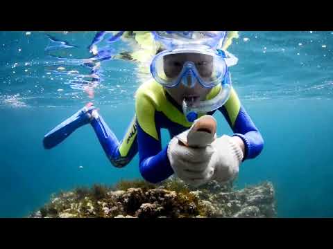 SAN’IN KAIGAN GEOPARK－UNDERWATERACTIVITY IN TOTTORI－