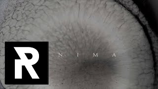 Anima Music Video