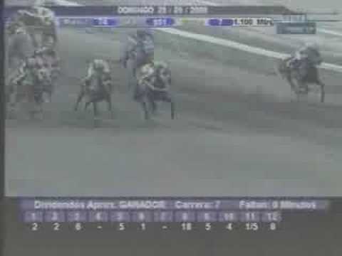 RESUMEN LA RINCONADA DOMINGO 28 /09/08