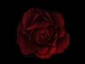 Then You Know How I Feel- Bryan White
