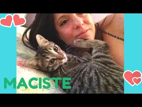 NEWS! Nuovo look, Nuova casa e...NUOVO GATTO!