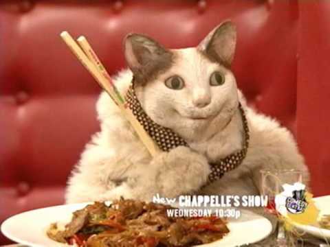 TV Funhouse -  Mexicans Day (S1, EP4)