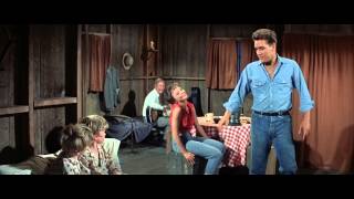 Elvis Presley - Sound Advice 1080