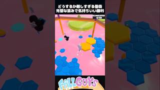 どうするか難しすぎる盤面！完璧な読みで気持ちいい勝利【Fall Guys/フォールガイズ】