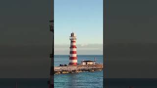 MSC Cruise Tip For The Best Vacation Part 4 #shorts #cruisetips