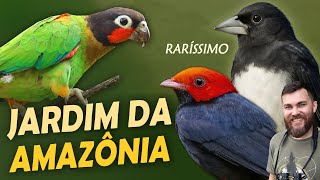 Miniatura do vídeo