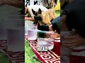 Dog Vs Human Water Challenge