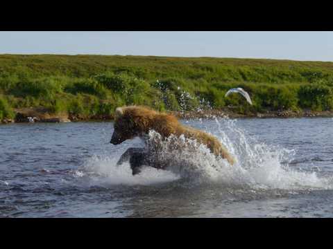 Running Wild: Return to the River (Official Trailer)