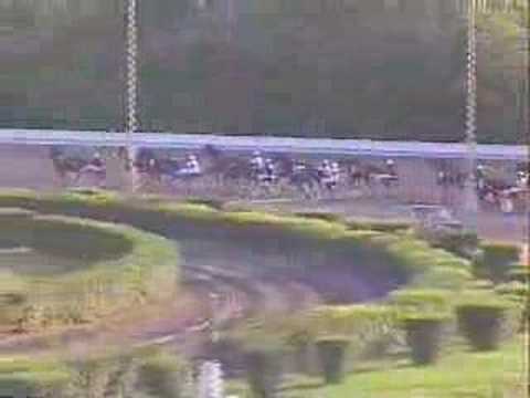 2002.évi Magyar Ügetőderby