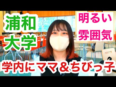 こども学科 保育士　大学　　ランキング　浦和大学　人気　大学人気　ランキング