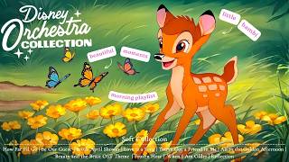 Walk Through the Enchanted Forest | Relaxing Disney Orchestra Collection for Peace ✨