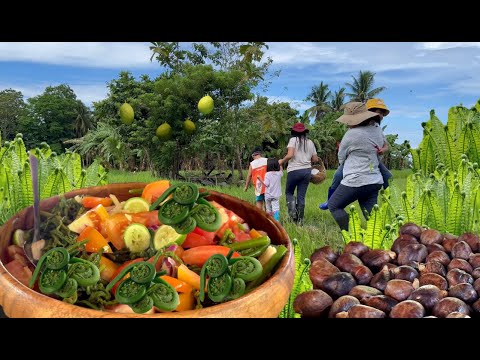 PAKO or FIDDLEHEAD FERNS and BREADNUT