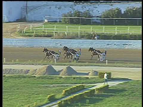 Trotto 15/09/2017 - prova di qualifica