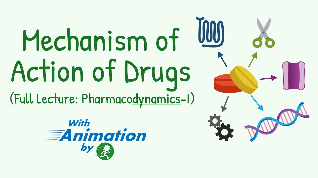 ALL the Mechanism of Drug Action | Pharmacodynamics | Principles of Drug Action | Enzymes, Receptors