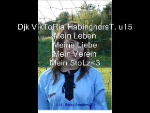 Djk Viktoria habinghorsT u15