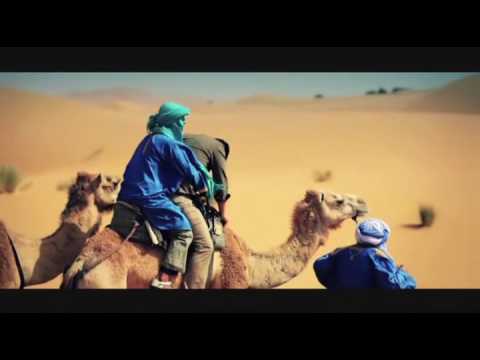 David Vendetta vs Tara McDonald - I'm Your Goddess (Music Video) [HD] #Gay