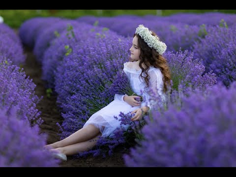 FRANCESCA CATARAGA  (Photograph) -  Lan de levantica   Lavanda
