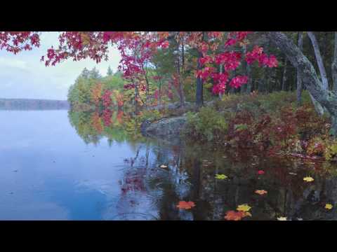 Induro Introduces New Line of Tripods, Monopods and Heads - Video News Release