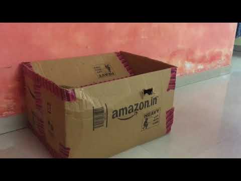 Hasnain with his kitty 🐱