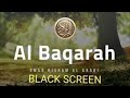 Surah Baqarah (Black Screen) Recitation by Omar Hisham Al Arabi | Stress Relief Quran recitation