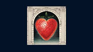 Saintseneca - "Feverer" (Full Album Stream)