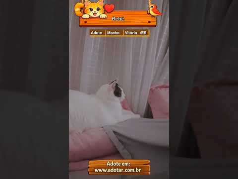 Vídeo de Bebê