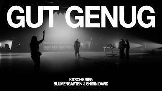 Cover art for Gut Genug