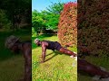 【自重トレ】今年の夏ボディはまだまだ間に合う#shorts