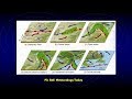 Mid Latitude Depression And Extra Tropical Cyclones Meteorology For Mariners